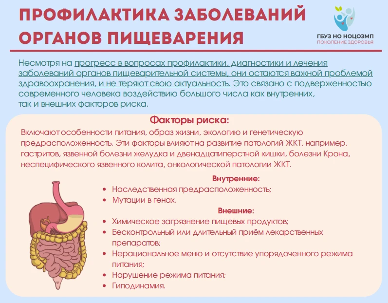 Профилактика заболеваний органов пищеварения